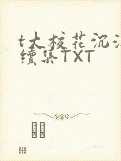 t大校花沉浮录续集TXT