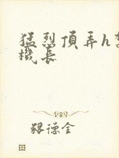 猛烈顶弄h禁欲机长