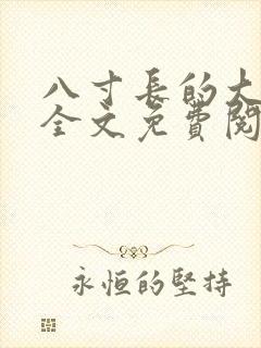 八寸长的大宝贝全文免费阅读