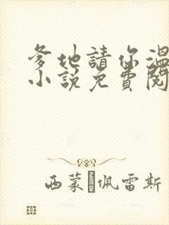 爹地请你温柔点小说免费阅读