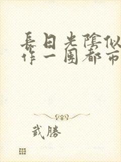 长日光阴似箭乱作一团都市言情