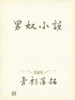男奴小说