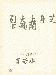 引火上身芝麻糖笔趣阁