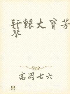 轩辕大宝芳菲雅琴