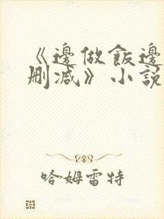 《边做饭边躁无删减》小说