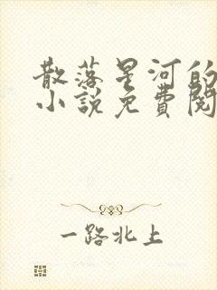 散落星河的记忆小说免费阅读全文