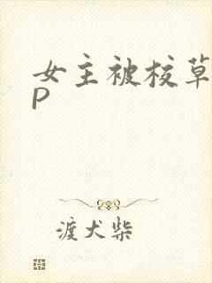 女主被校草们NP