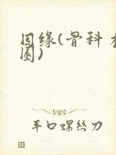 因缘(骨科 校园)