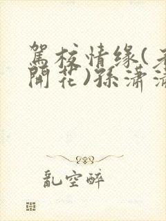 驾校情缘(老树开花)孙潇潇笔趣阁