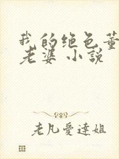 我的绝色董事长老婆 小说