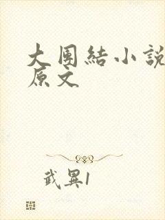 大团结小说阅读原文