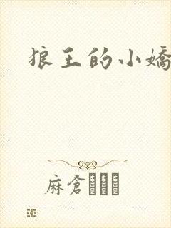 狼王的小娇妻