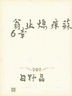 翁止熄痒苏玥第6章