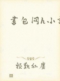 书包网h小说