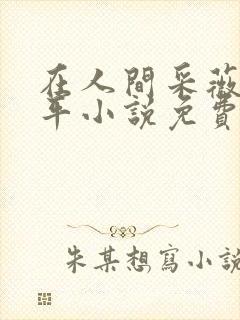 在人间采薇陆三平小说免费阅读