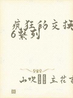 疯狂的交换1一6系列