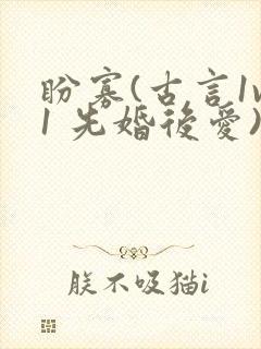 盼寡(古言1v1 先婚后爱)荔枝好多