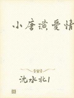 小唐璜爱情历史