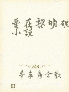 爱在黎明破晓前小说