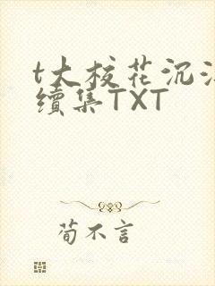 t大校花沉浮录续集TXT