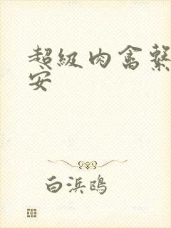 超级肉禽系统保安