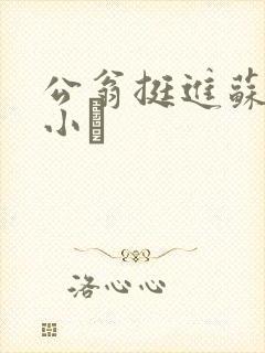 公翁挺进苏玥的小泬
