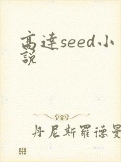 高达seed小说