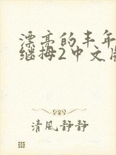 漂亮的丰年经的继拇2中文版