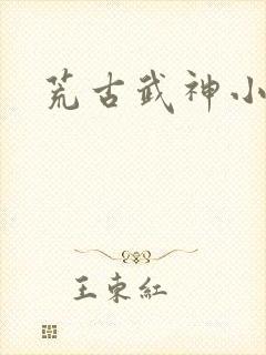荒古武神小说