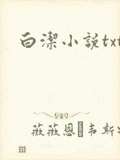 白洁小说txt