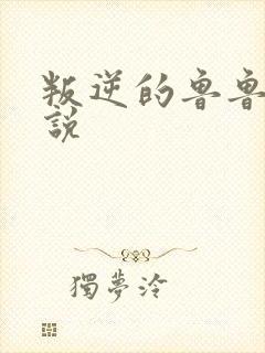 叛逆的鲁鲁修小说