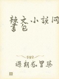 辣文小说网第二书包