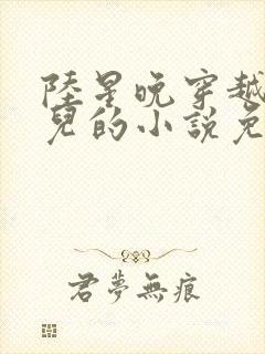 陆星晚穿越成婴儿的小说免费阅读全文