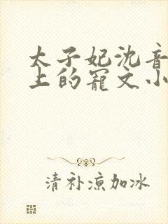 太子妃沈音和皇上的宠文小说