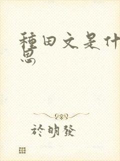 种田文是什么意思