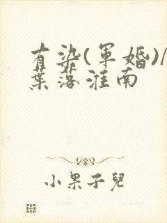 有染(军婚)/叶落淮南