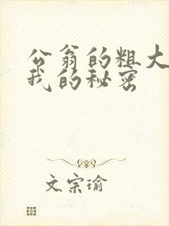 公翁的粗大放进我的秘密