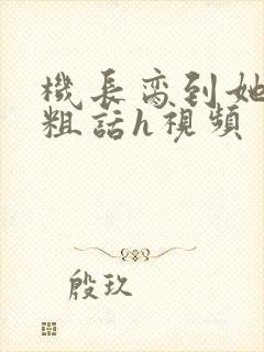 机长脔到她哭h粗话h视频