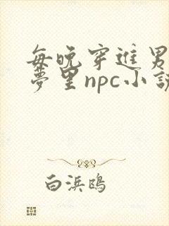 每晚穿进男神的梦里npc小说