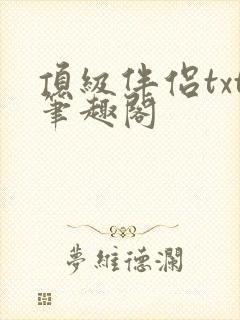 顶级伴侣txt笔趣阁