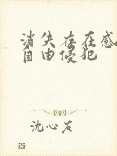 消失存在感消失自由侵犯