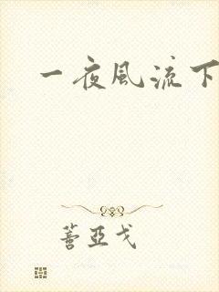一夜风流下载
