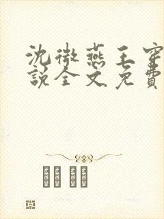 沈微燕王穿越小说全文免费阅读