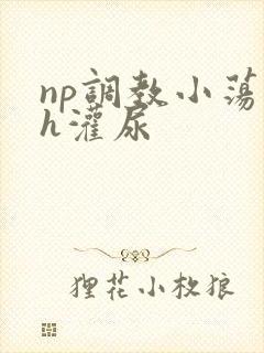 np调教小荡货h灌尿