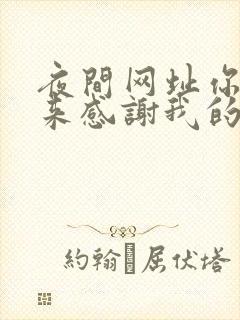 夜间网址你会回来感谢我的