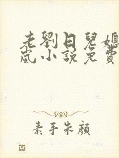 老刘日儿媳妇张岚小说免费阅读