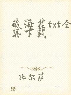 藏海花txt全集下载
