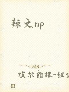 辣文np