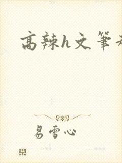 高辣h文笔趣阁