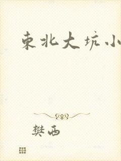 东北大坑小说